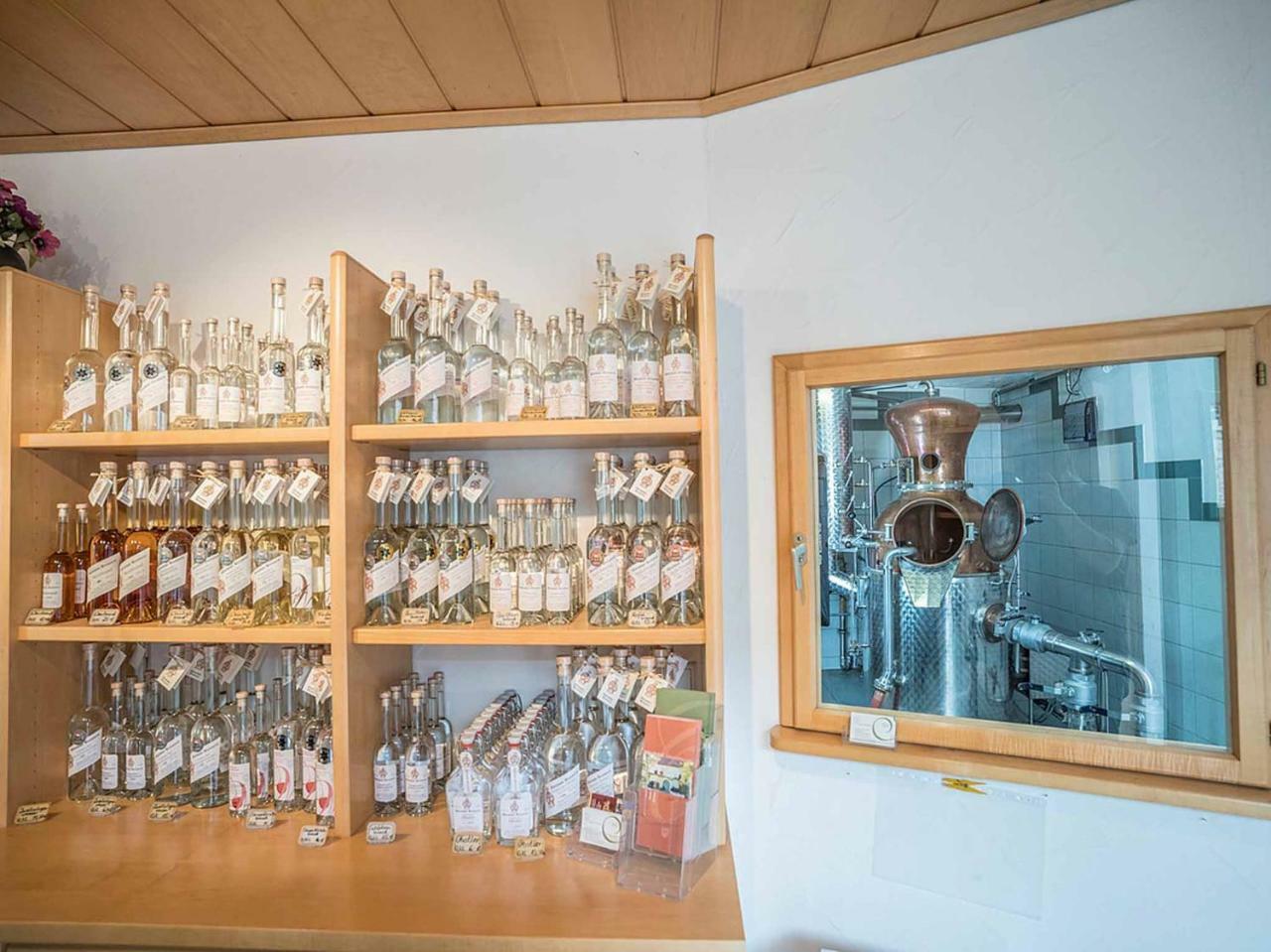 Gaestehaus Moenchshof Sommerhausen Dış mekan fotoğraf