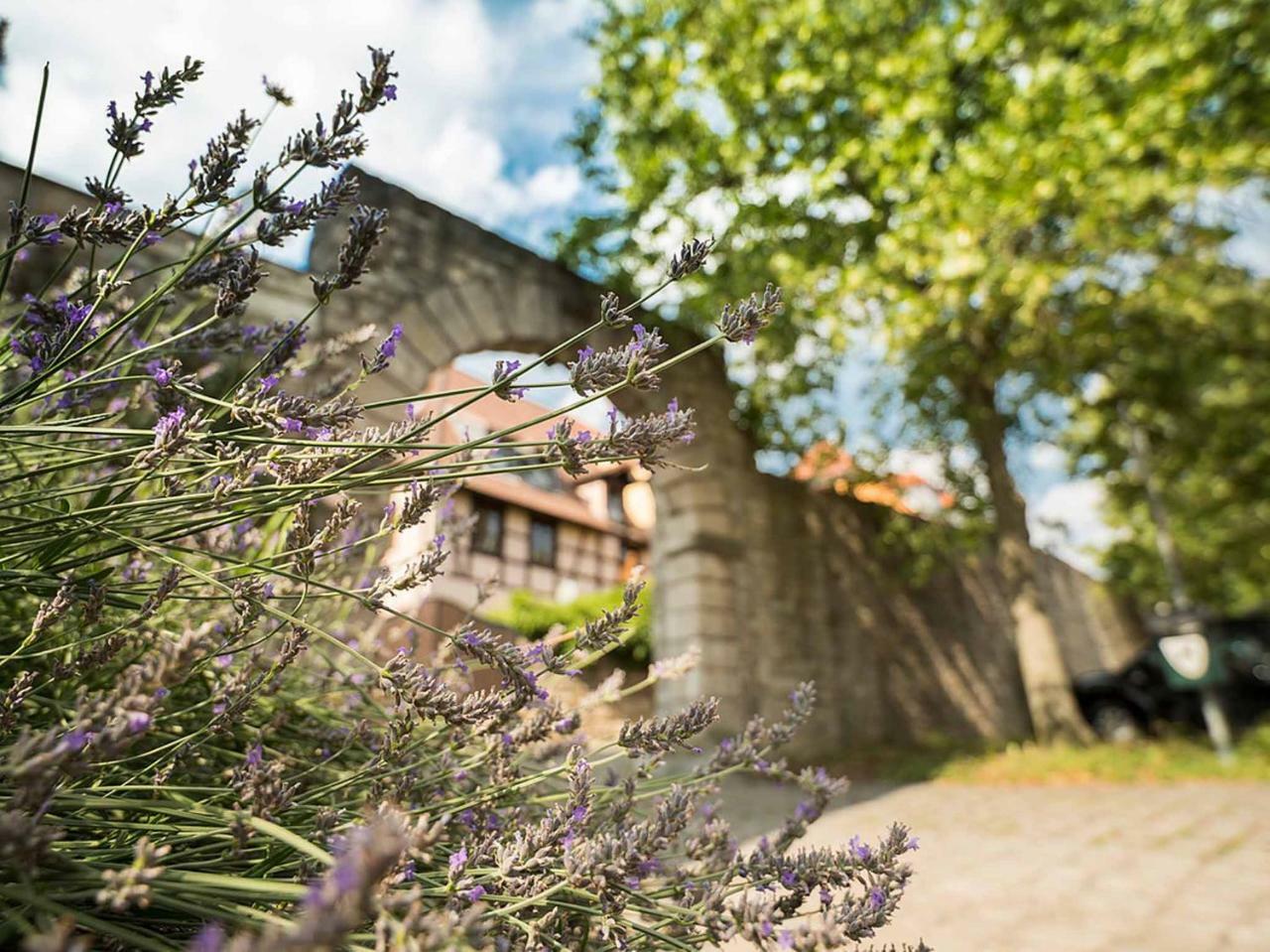 Gaestehaus Moenchshof Sommerhausen Dış mekan fotoğraf