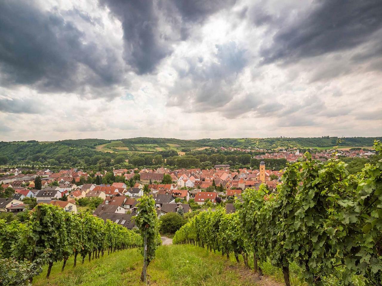 Gaestehaus Moenchshof Sommerhausen Dış mekan fotoğraf